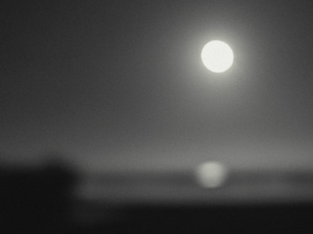 nightlife